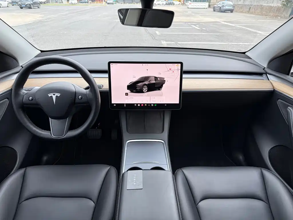 Tesla Model Y — миниатюра 10