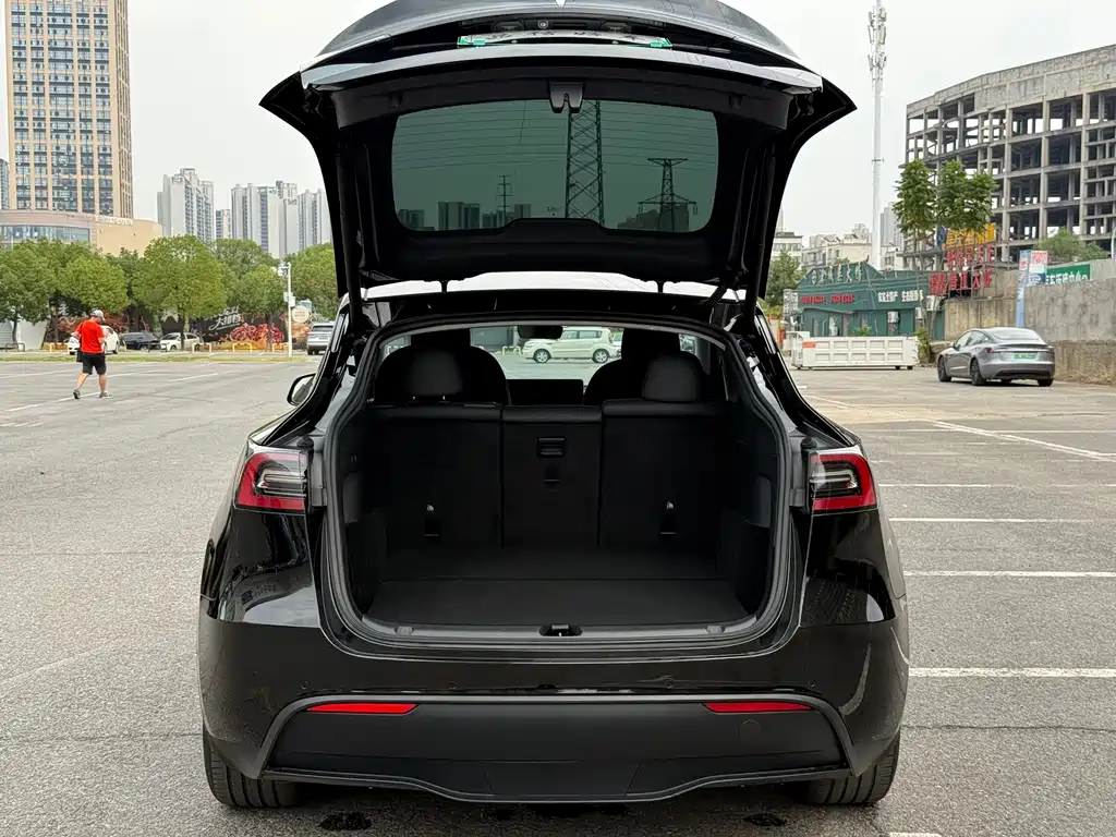 Tesla Model Y — миниатюра 13