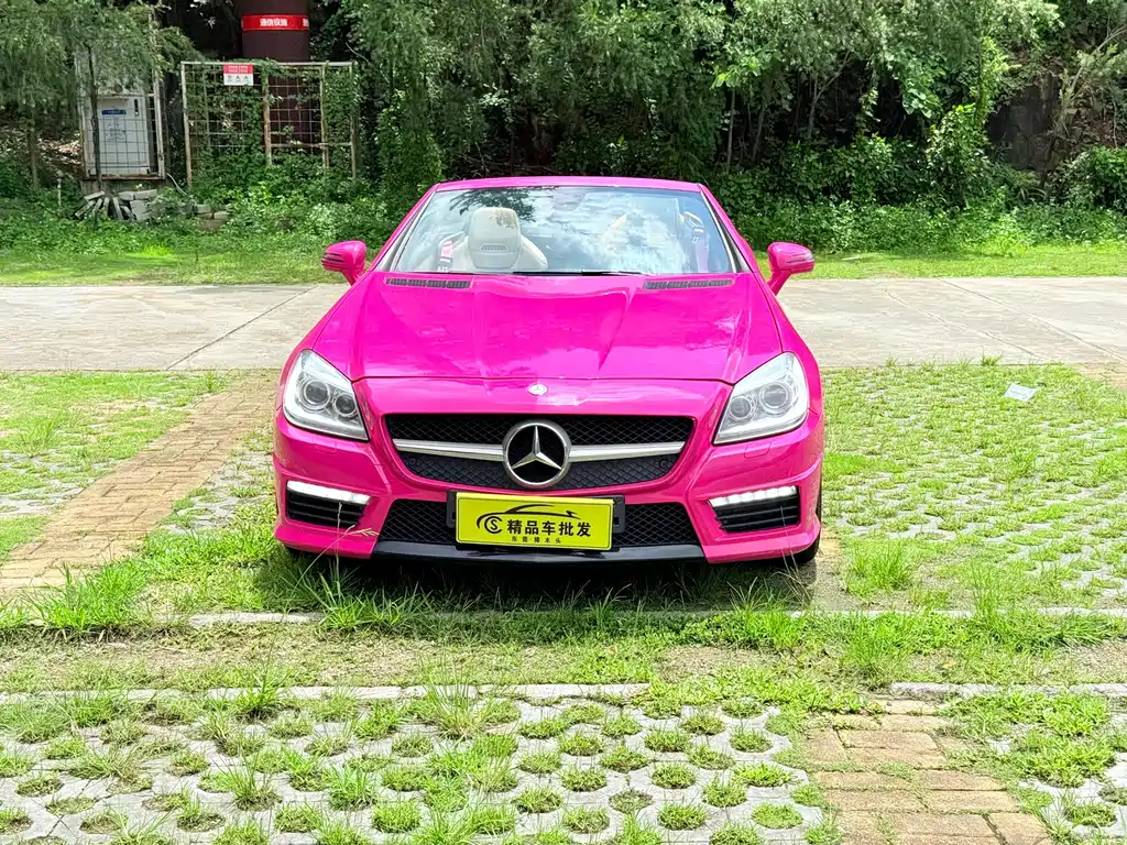 Mercedes-Benz SLK-Class SLK 200 Fashion Type, фото 2