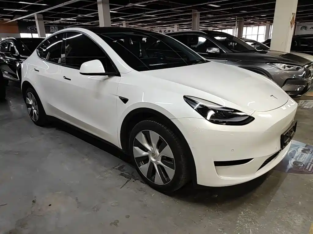 Tesla Model Y — миниатюра 4