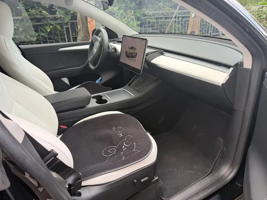 Tesla Model Y — миниатюра 4