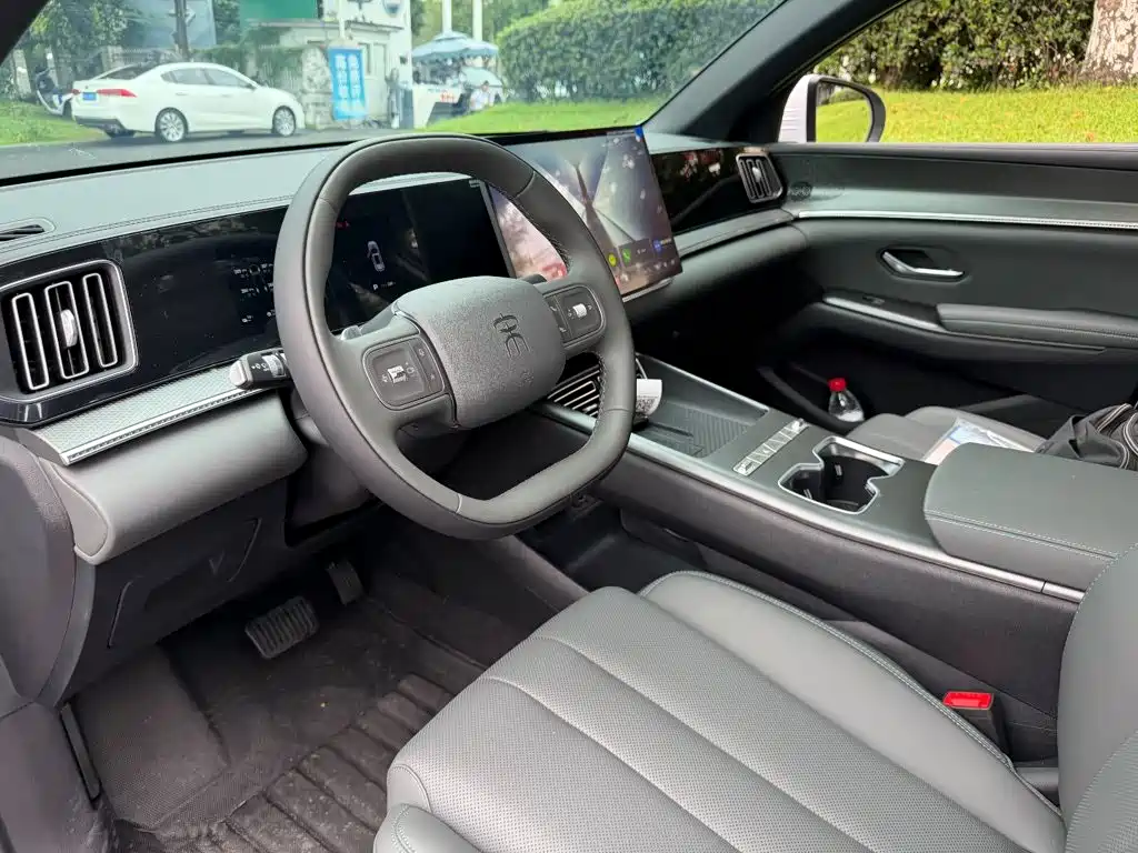 BYD Pro New Energy — миниатюра 7
