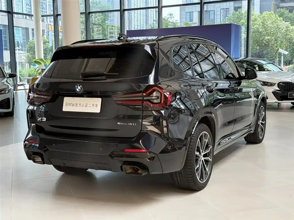 BMW X3 — миниатюра 11