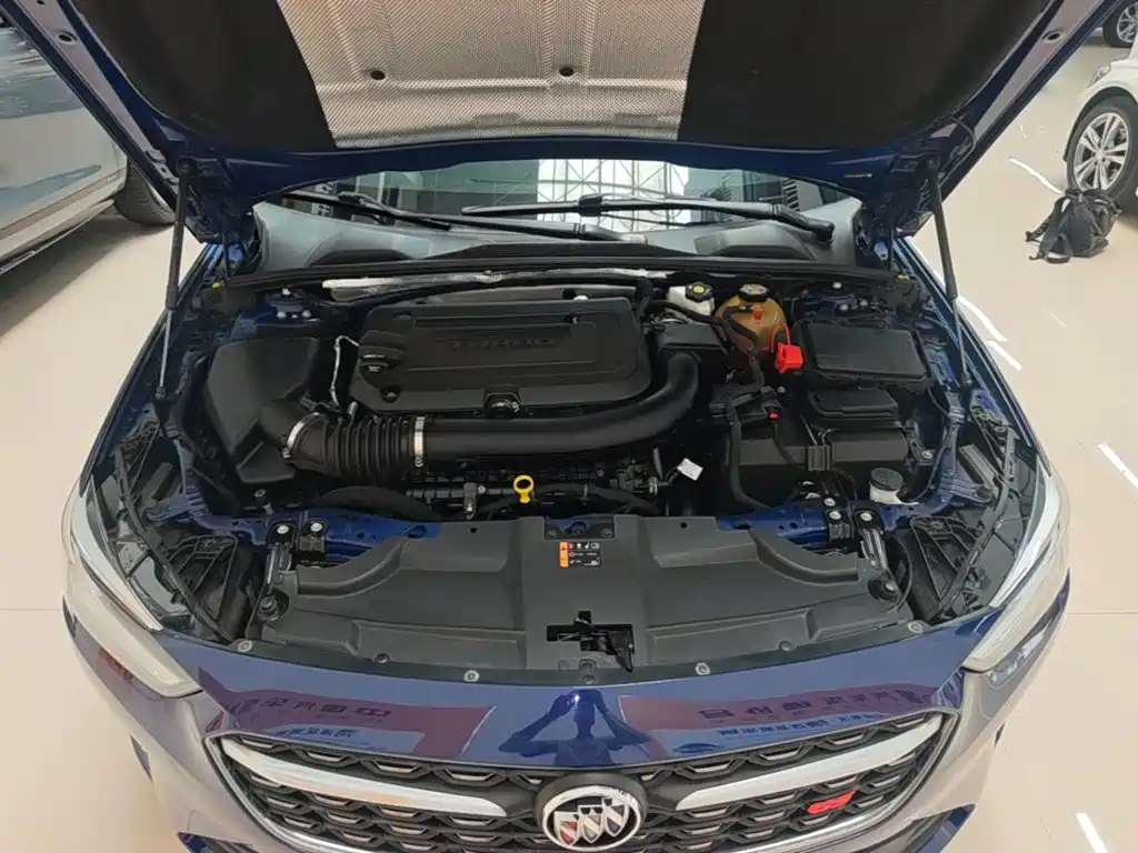 Buick Regal — миниатюра 20