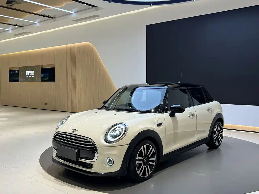 Mini Mini 2020