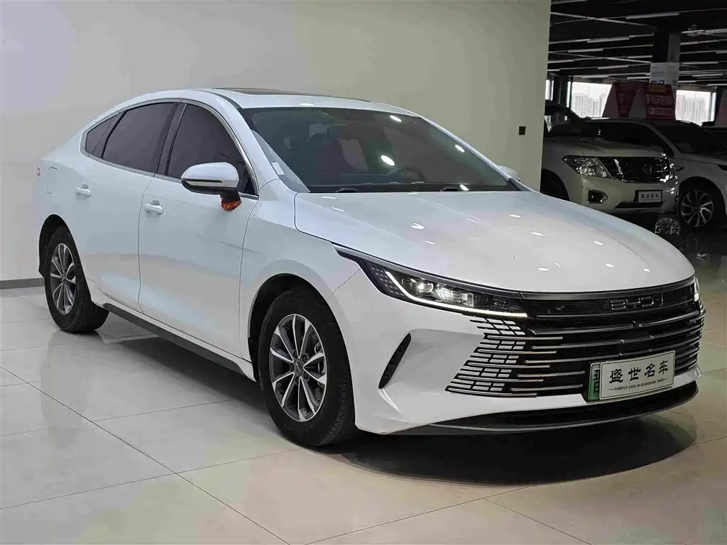 BYD Destroyer 05 — миниатюра 3