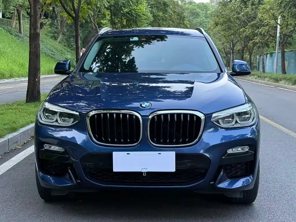 BMW X3 — миниатюра 2