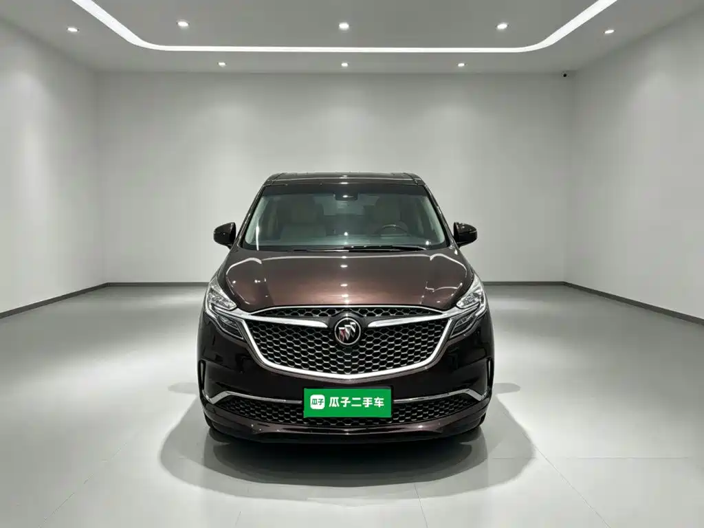 Buick GL8 — миниатюра 3