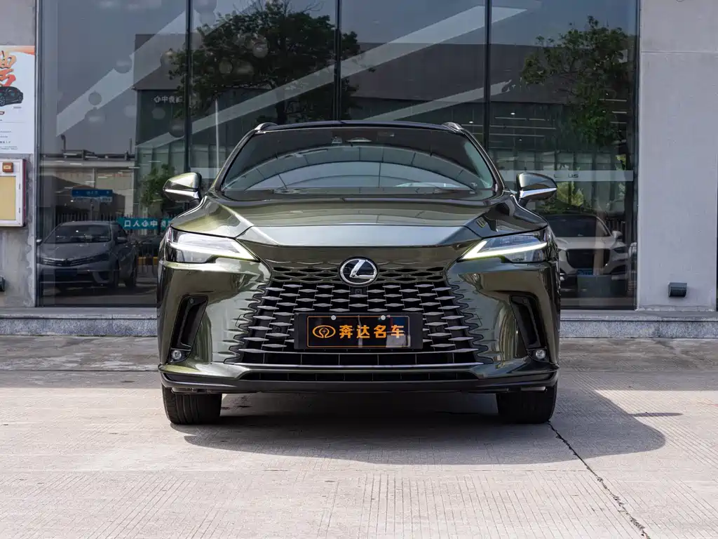 LEXUS RX NEW ENERGY