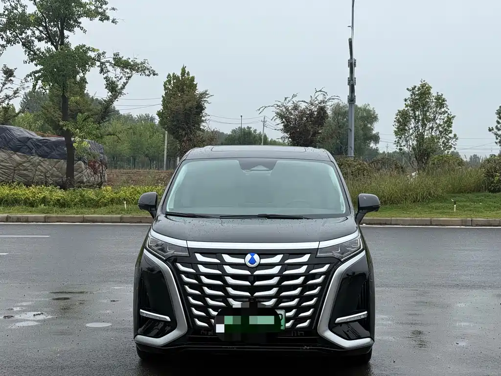 Denza Denza D9 — миниатюра 2