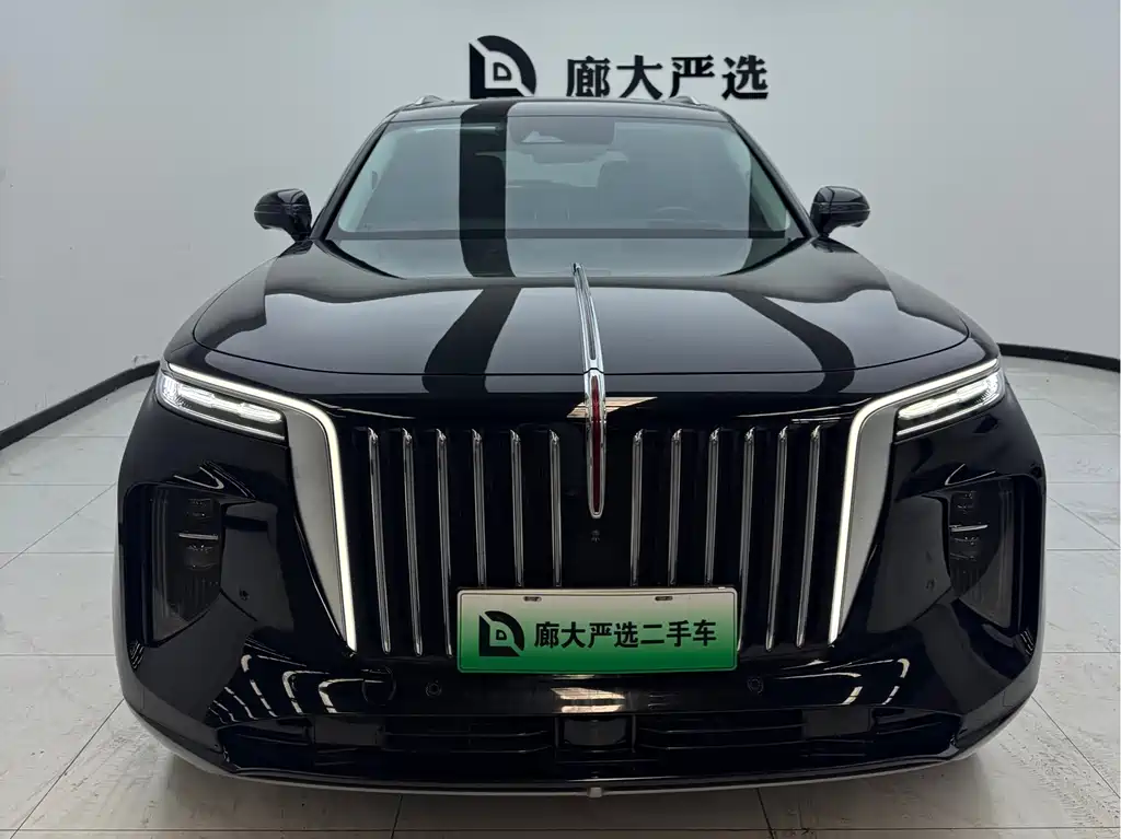 Hongqi Hongqi E-HS9 — миниатюра 2