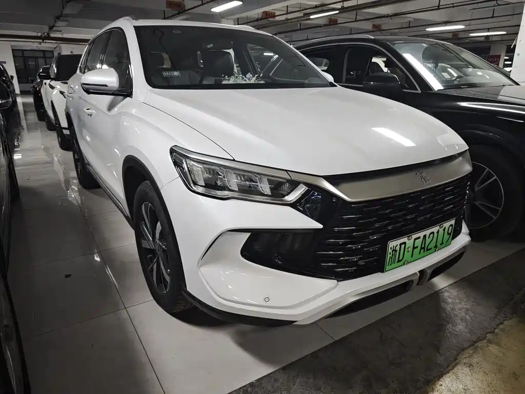 BYD SONGJIANG NEW ENERGY