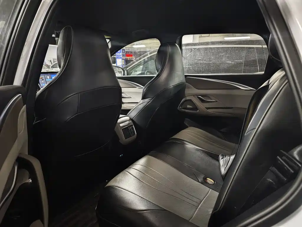 BYD SONGJIANG NEW ENERGY