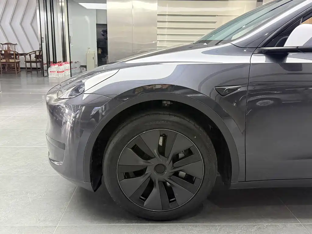 Tesla Model Y — миниатюра 16