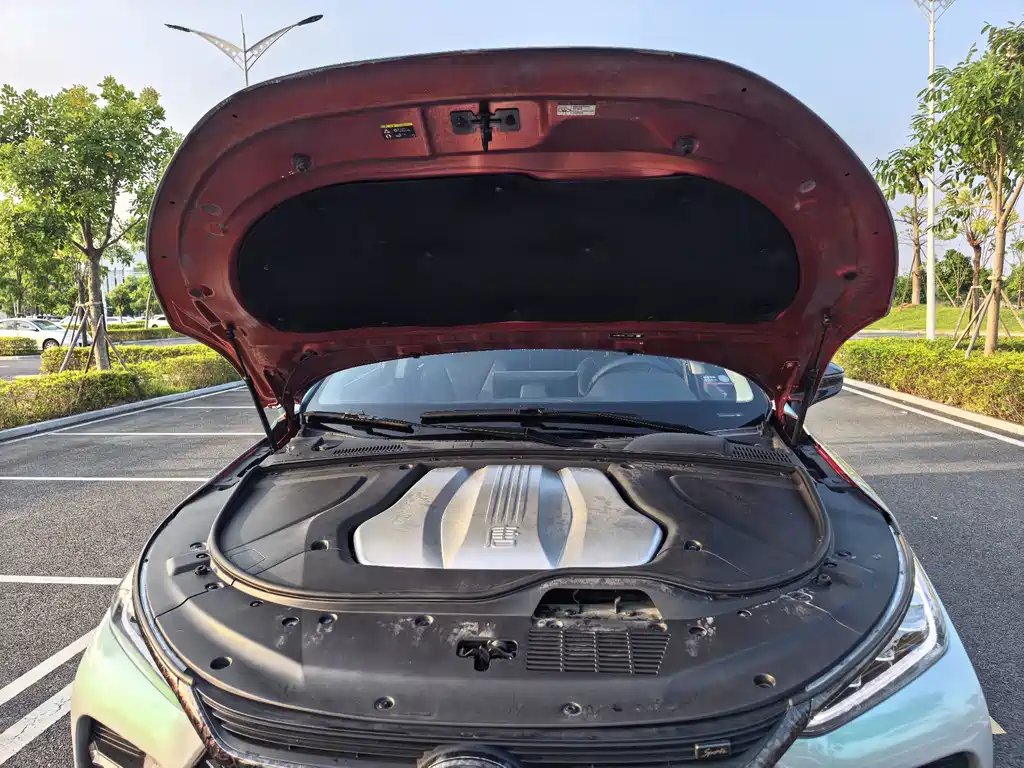 BYD Tang New Energy — миниатюра 30