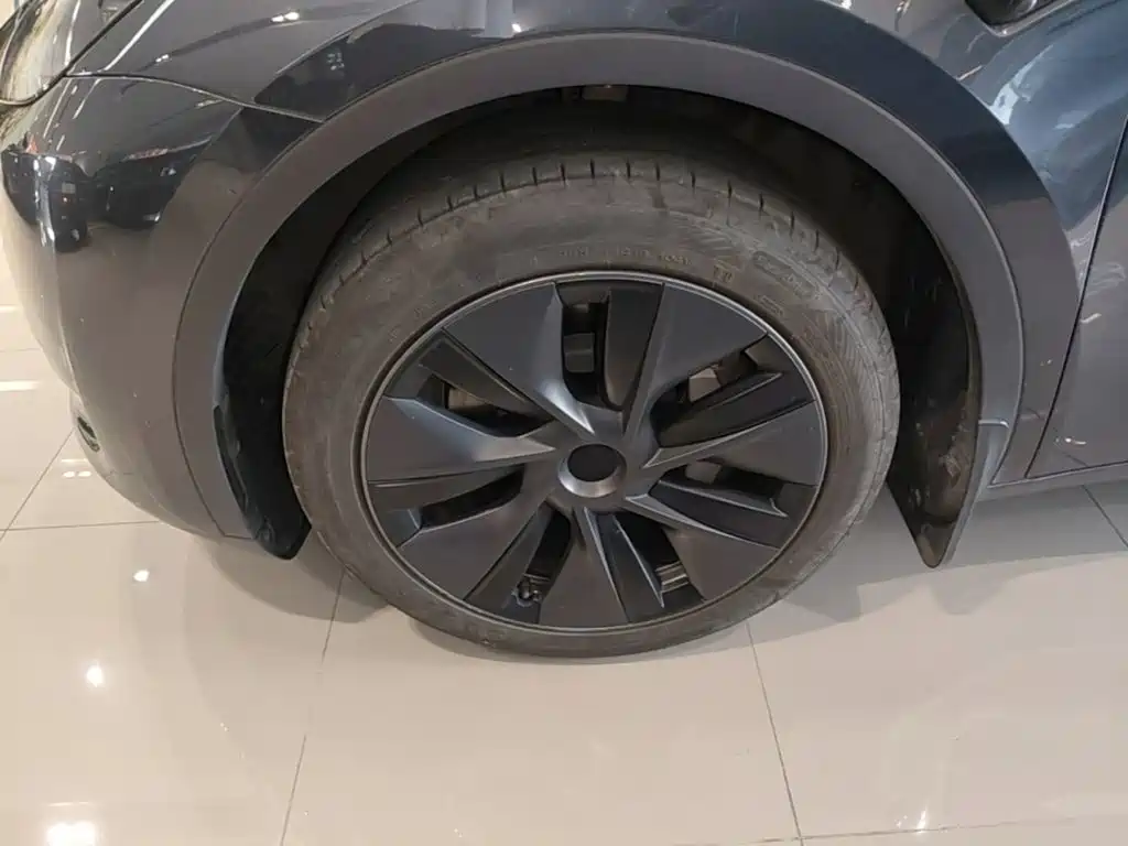 Tesla Model Y — миниатюра 23
