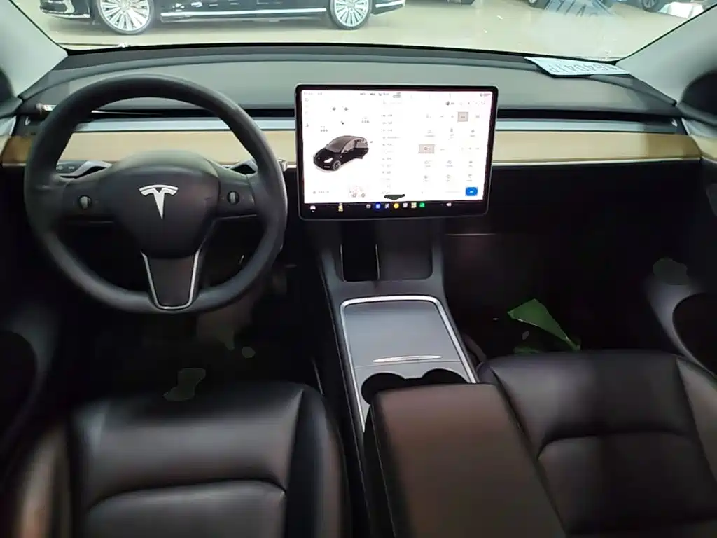 Tesla Model Y — миниатюра 10