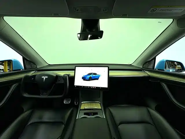 Tesla Model Y — миниатюра 4