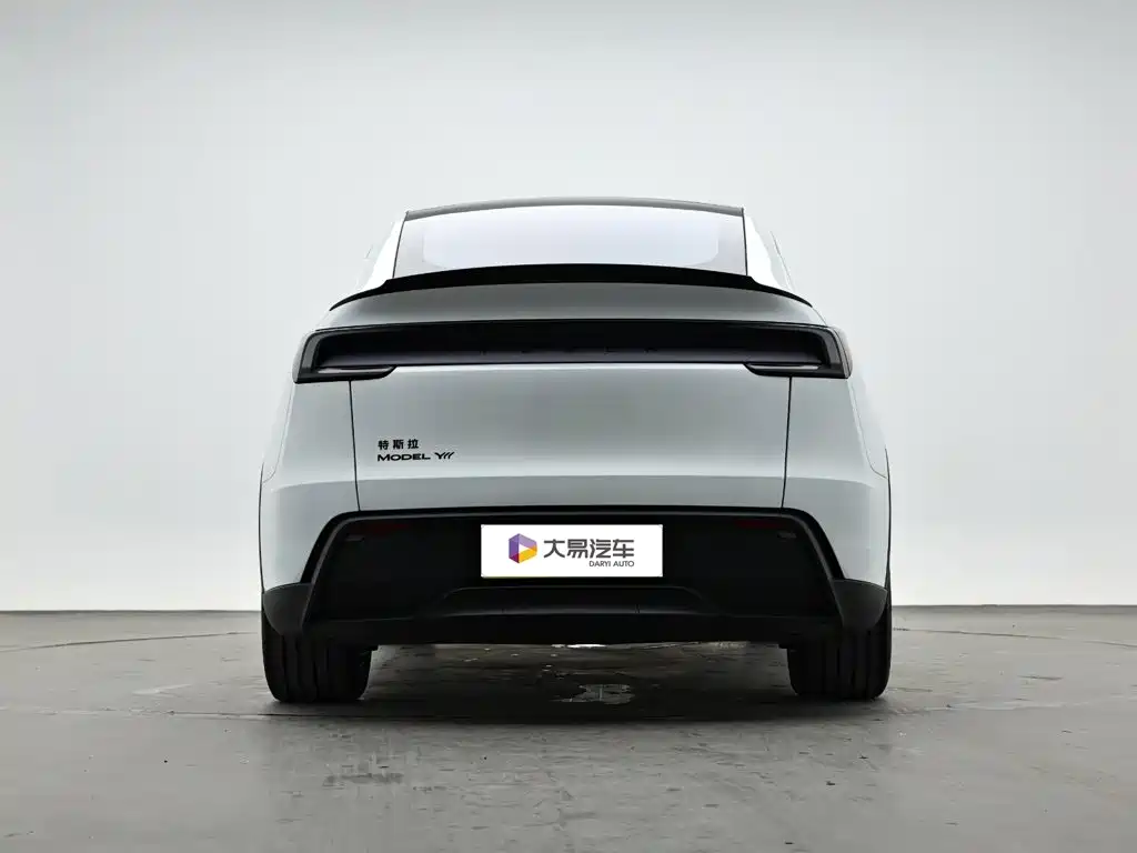 Tesla Model Y L — миниатюра 4