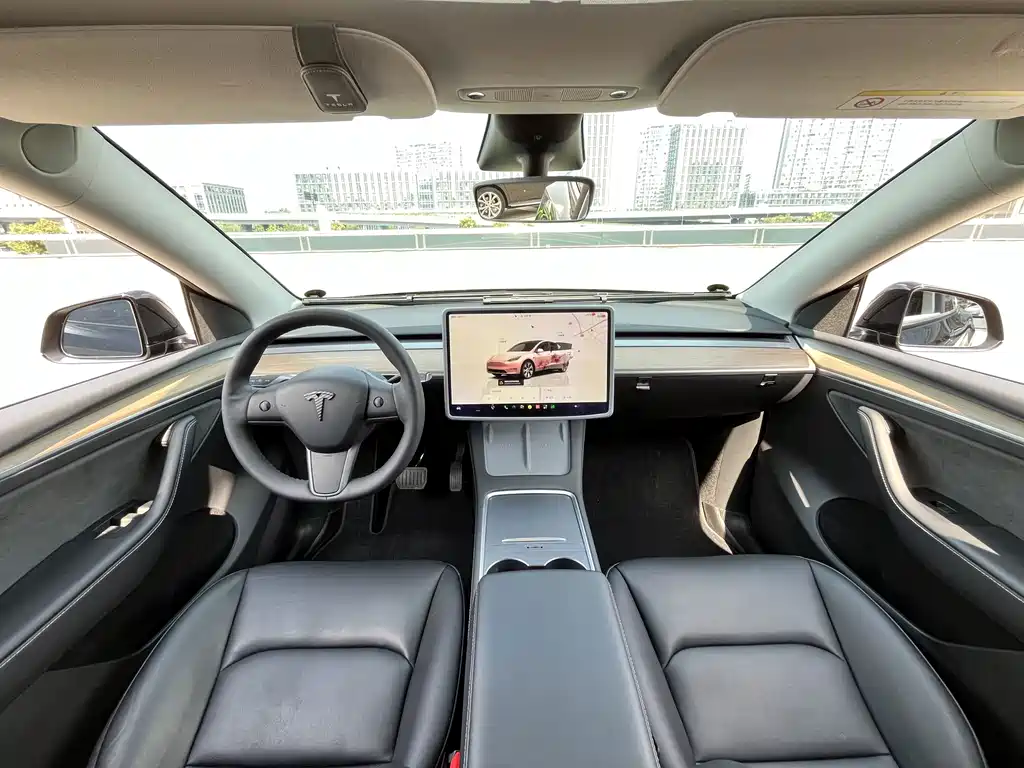 Tesla Model Y — миниатюра 6