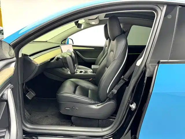 Tesla Model Y — миниатюра 5