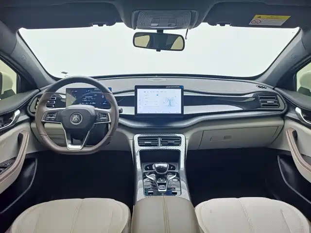 BYD Qin Plus PLUS 2024 DM-i 55KM Lead