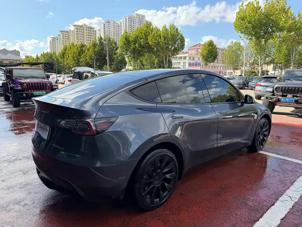 Tesla Model Y — миниатюра 6