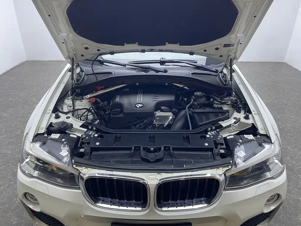 BMW X4 xDrive20i M Sport Type, фото 19