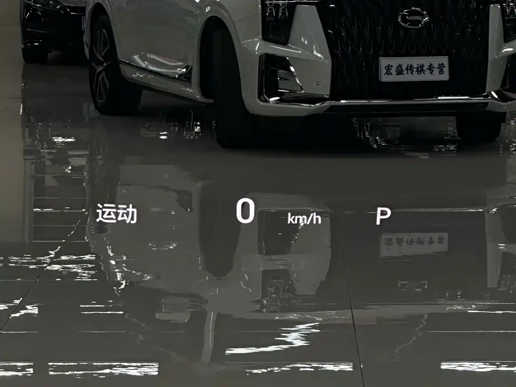 GAC Motor Trumpchi GS8 — миниатюра 19