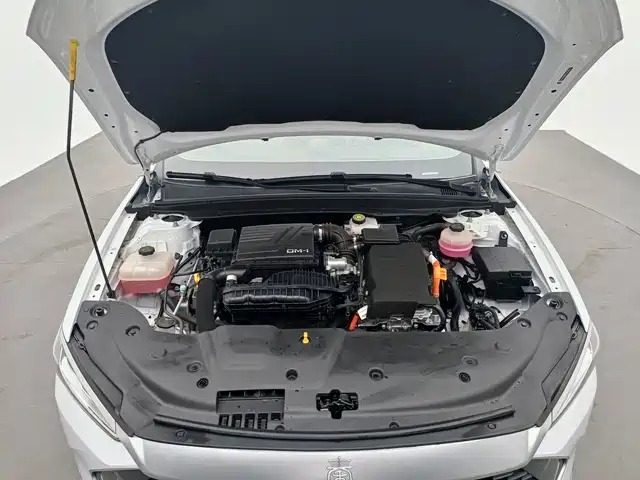 BYD Qin Plus PLUS 2024 DM-i 55KM Lead