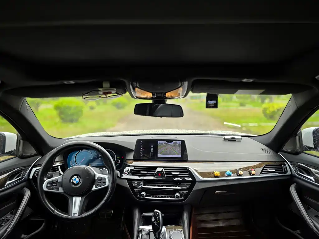BMW 5 Series 5 2018 530Li Lead M Sport
