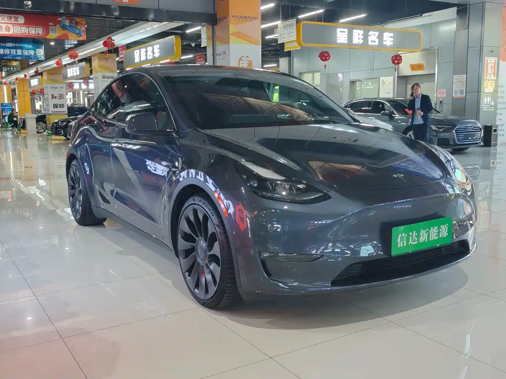 Tesla Model Y — миниатюра 3