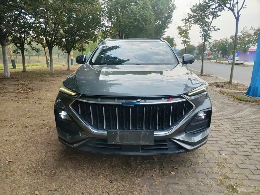 Oshan Oushang X5 — миниатюра 3