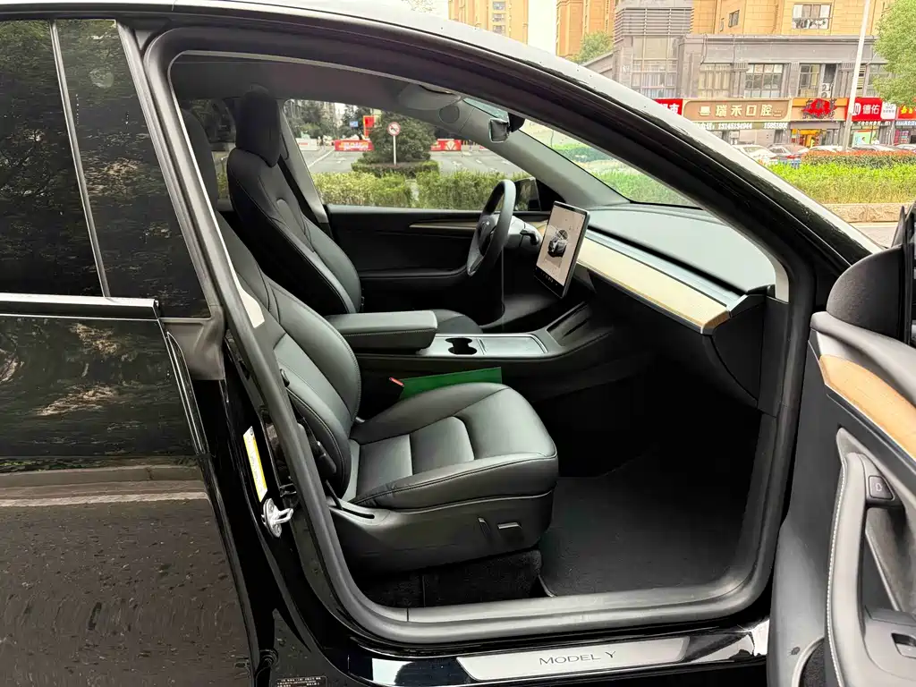 Tesla Model Y — миниатюра 11