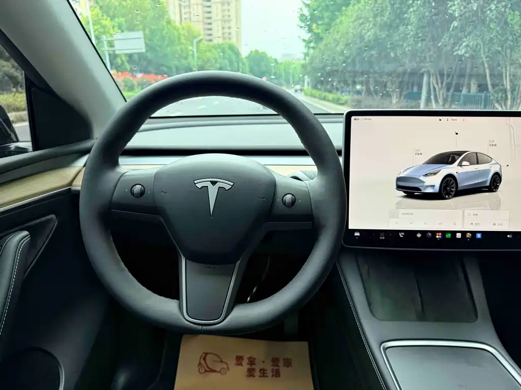 Tesla Model Y — миниатюра 14