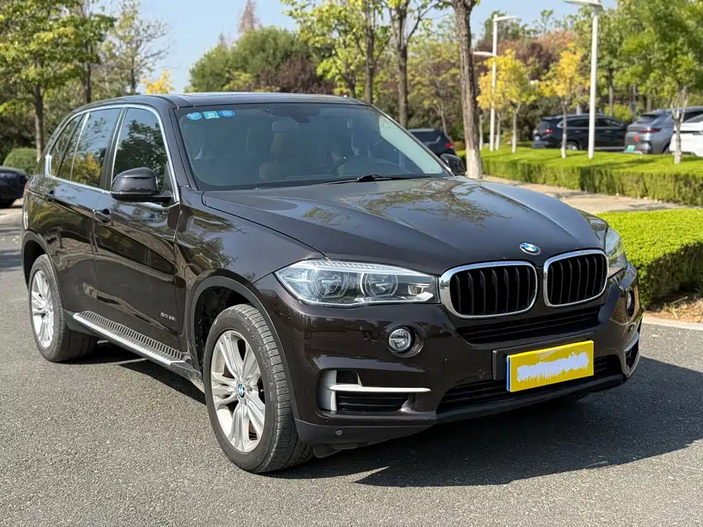 BMW X5 (Import) — миниатюра 3