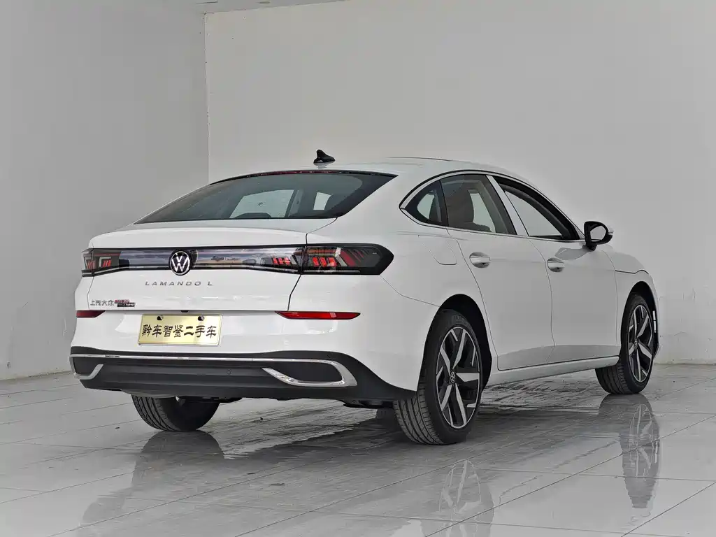 Volkswagen Lamando — миниатюра 6