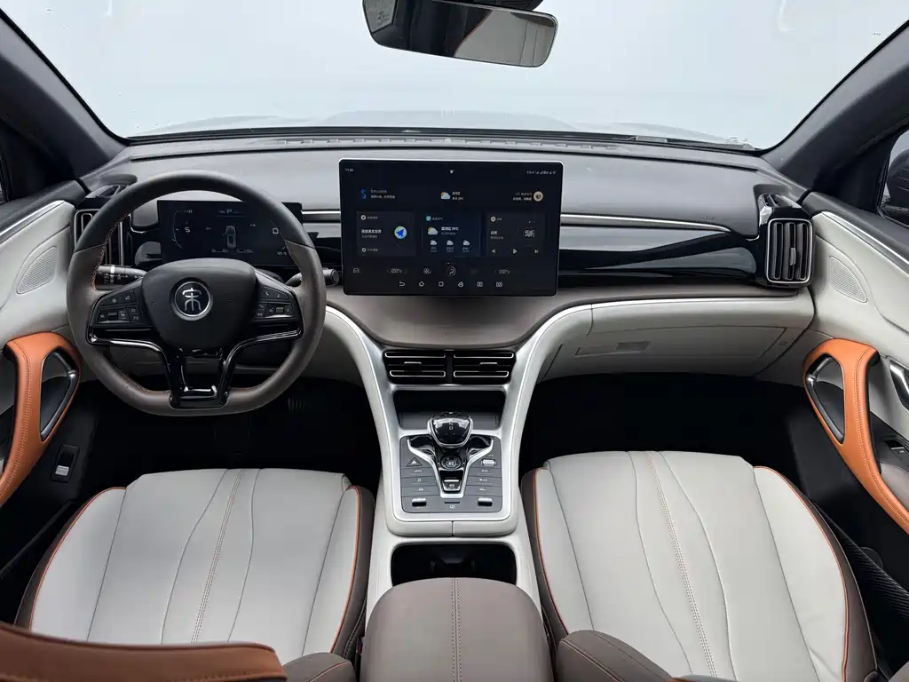 BYD Pro New Energy — миниатюра 8