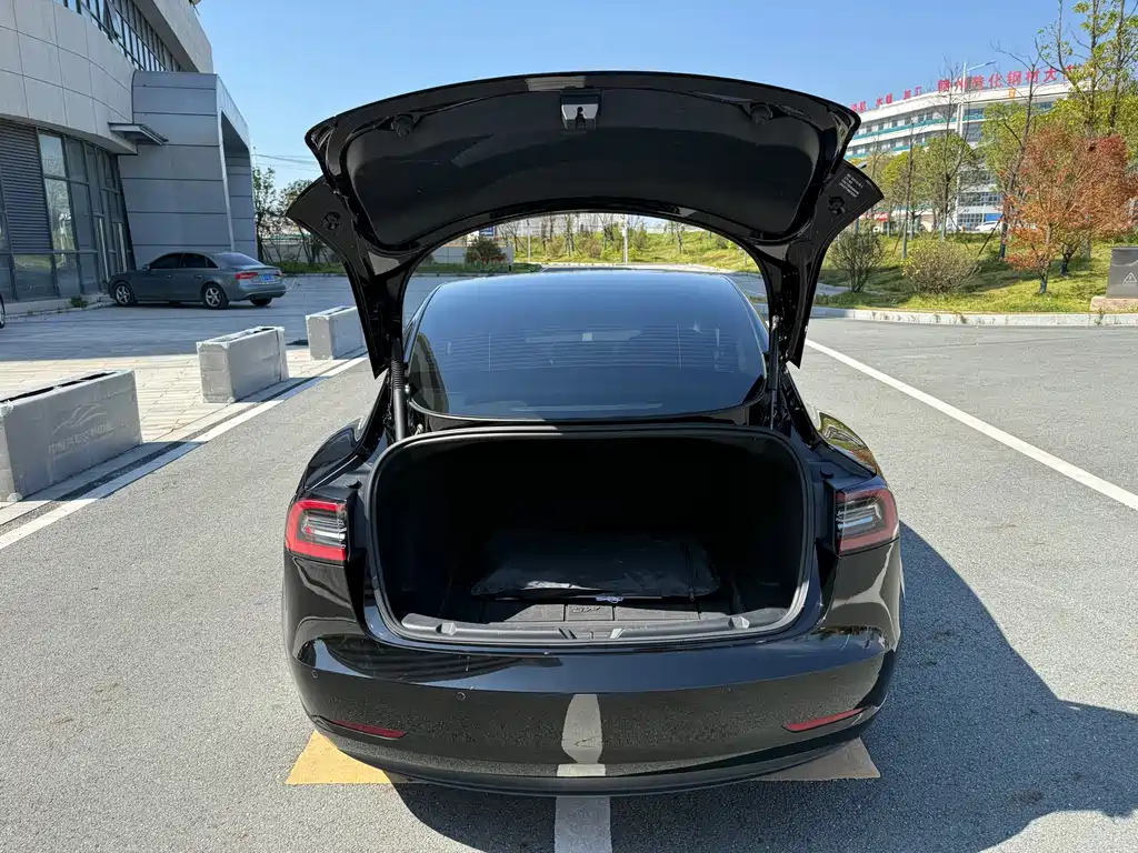 Tesla Model 3 — миниатюра 21