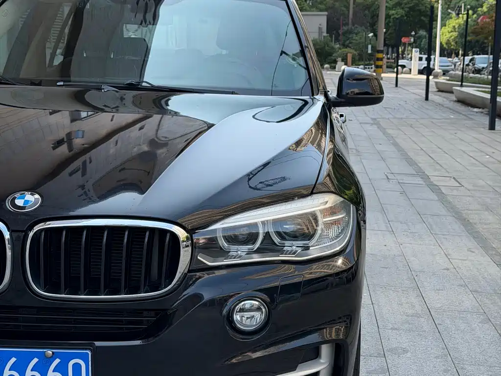 BMW X5 (Import) — миниатюра 12