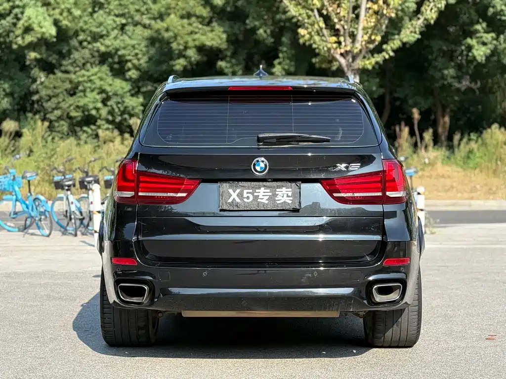 BMW X5 (Import) — миниатюра 5