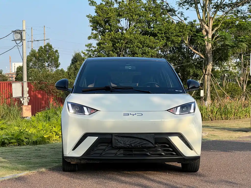 BYD Seagull — миниатюра 2