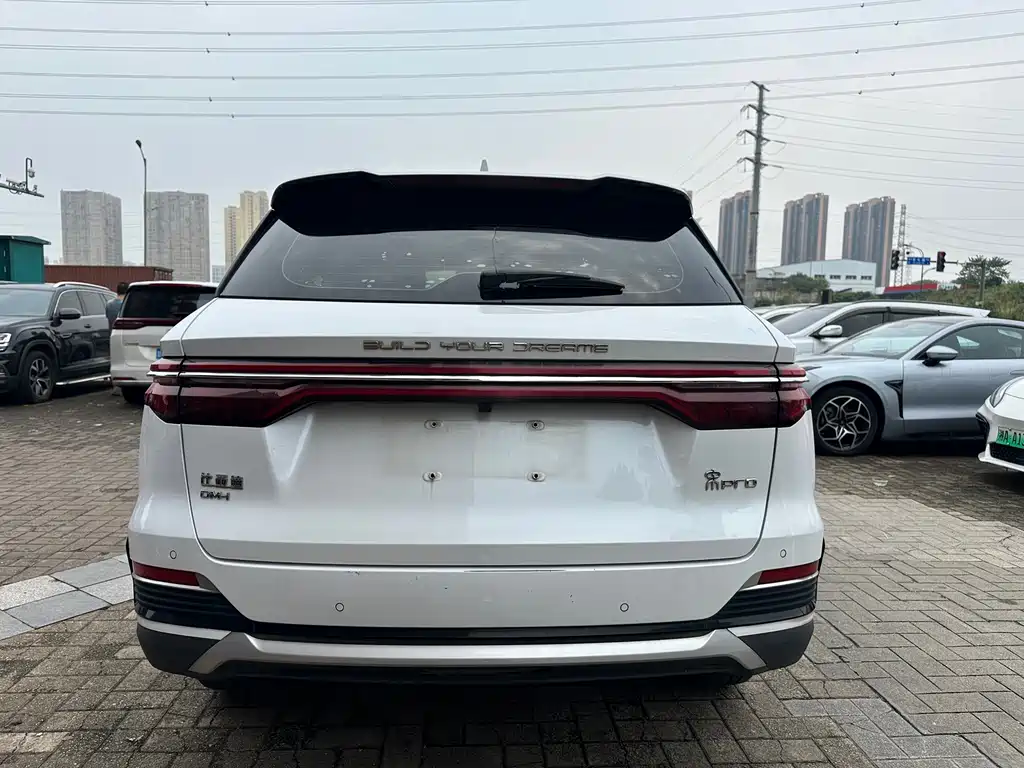 BYD Pro New Energy — миниатюра 6