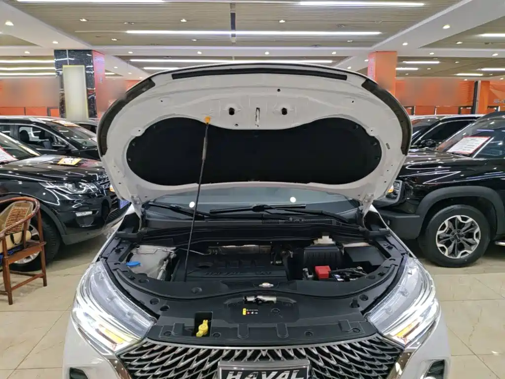 Haval M6 — миниатюра 20