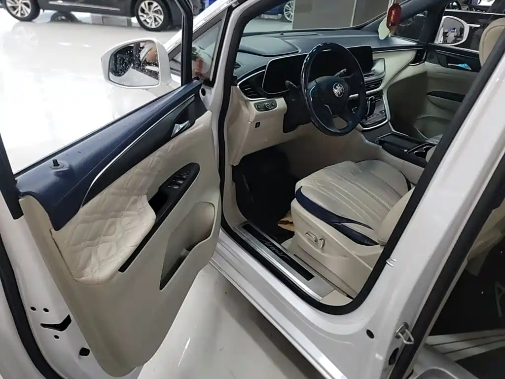 Buick GL8 — миниатюра 16