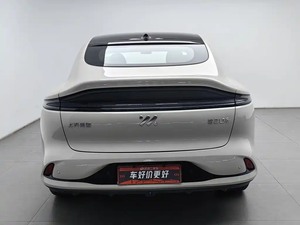 IM IM LS6 — миниатюра 4