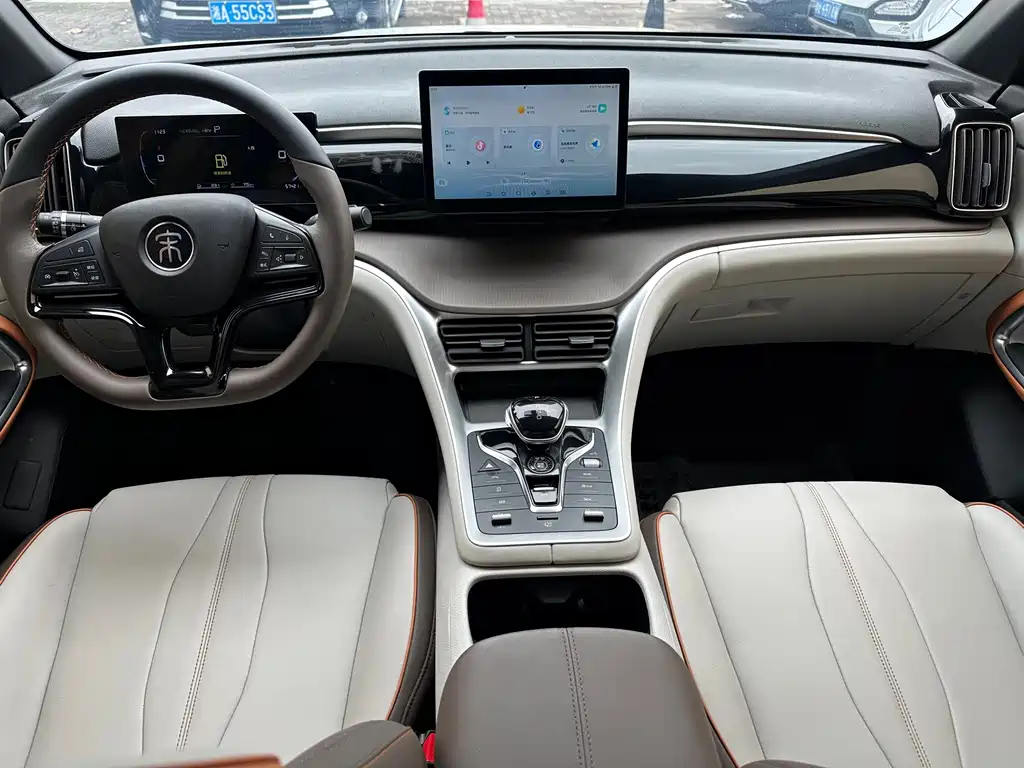 BYD Pro New Energy — миниатюра 13
