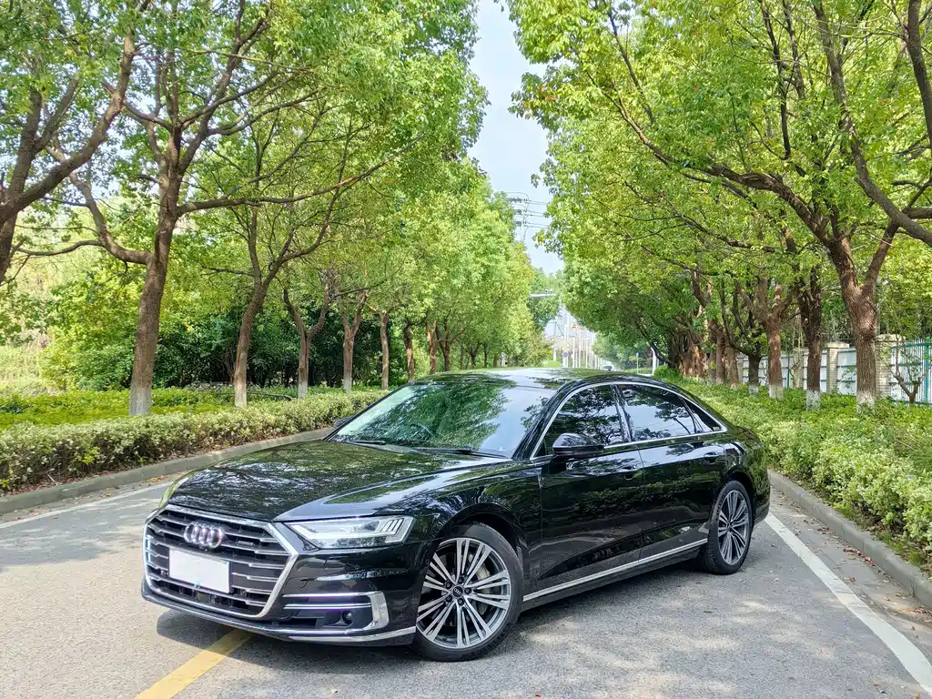 Audi A8 — миниатюра 2