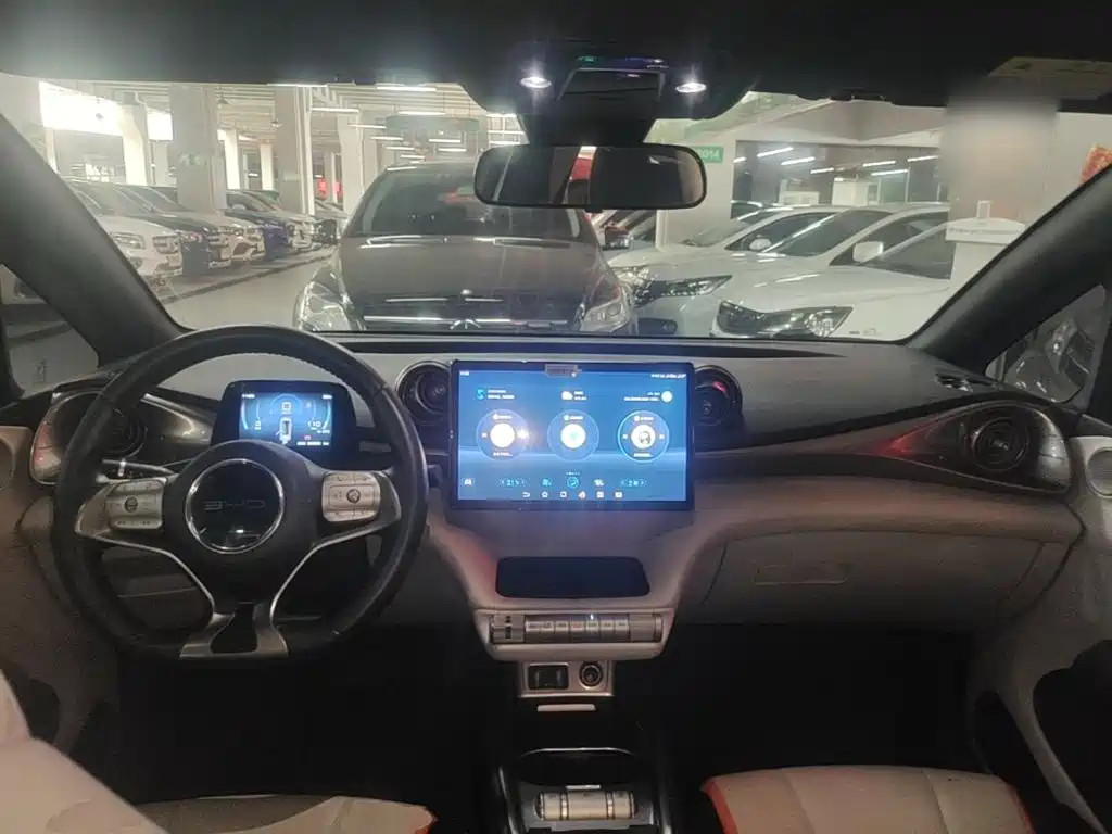 BYD Dolphin — миниатюра 10