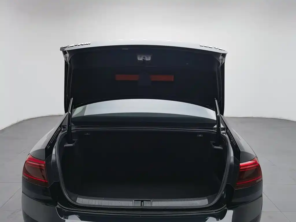 Volkswagen Magotan — миниатюра 16